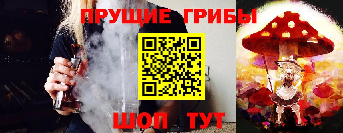Малоярославец  Псилоцибиновые грибы Psilocybine cubensis  Псилоцибиновые грибы прущие грибы  Вход с VPN 