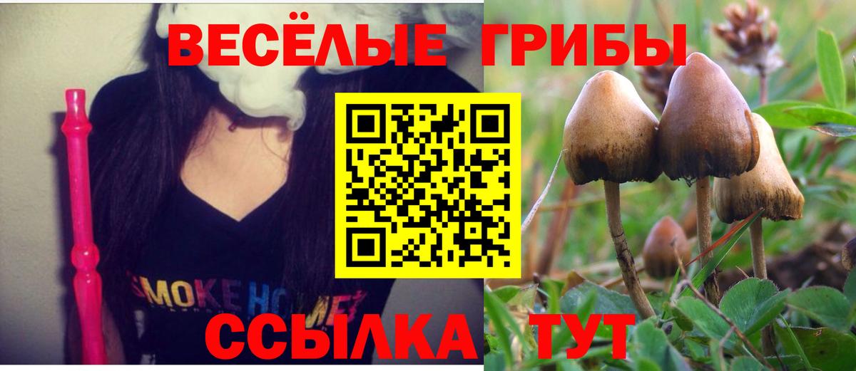 Галлюциногенные грибы прущие грибы Малоярославец